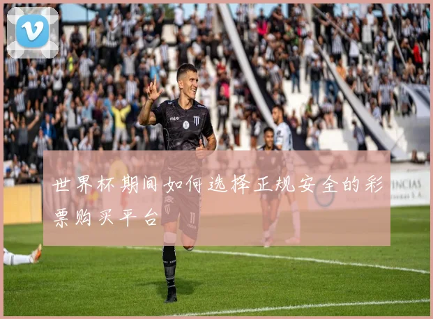 世界杯期间如何选择正规安全的彩票购买平台