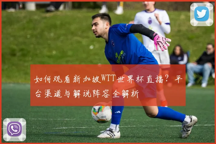 如何观看新加坡WTT世界杯直播？平台渠道与解说阵容全解析