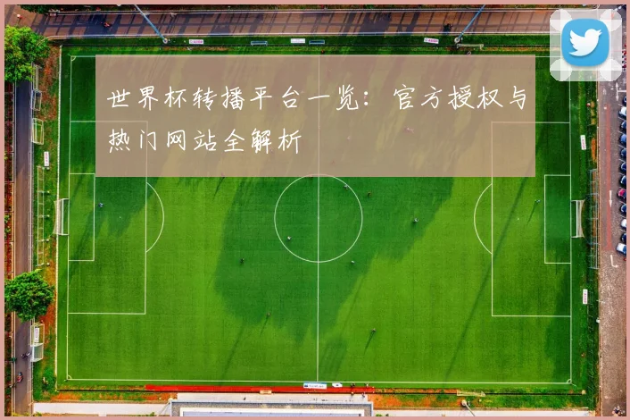 世界杯转播平台一览:官方授权与热门网站全解析